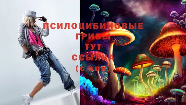 прущая мука Богданович