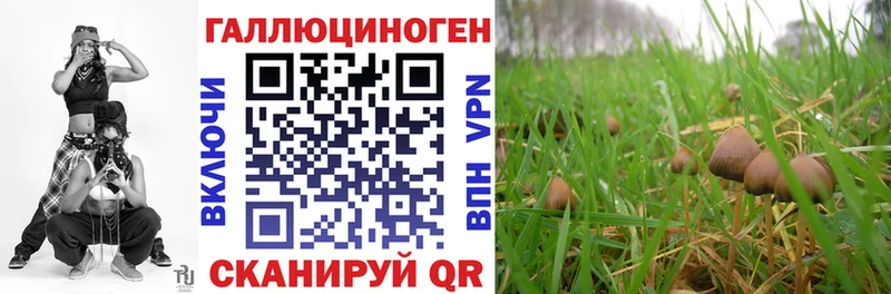 Псилоцибиновые грибы мухоморы  Липецк 